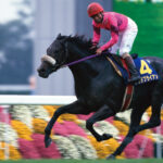 ［本日発売］ナリタブライアンに騎乗したことで「紅白」に出演！？　ナリタブライアンをめぐる『マル秘エピソード』とは？ - デアゴスティーニ《DVD付きマガジン》日本の名馬・名勝負