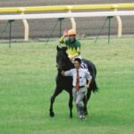 時代を経ても色褪せない快進撃の始まり。ゼンノロブロイが勝利した2004年天皇賞・秋を振り返る