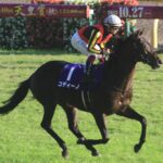 あなたの「好みの血統」は? 私が追いかけた、良血馬コディーノの記憶 - 2012年・秋/東京スポーツ杯2歳ステークス