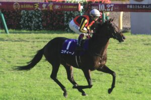 あなたの「好みの血統」は? 私が追いかけた、良血馬コディーノの記憶 - 2012年・秋/東京スポーツ杯2歳ステークス