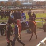 大魔神の愛が生み出した偉大な馬。シュヴァルグランが勝利した2017年のジャパンカップを振り返る