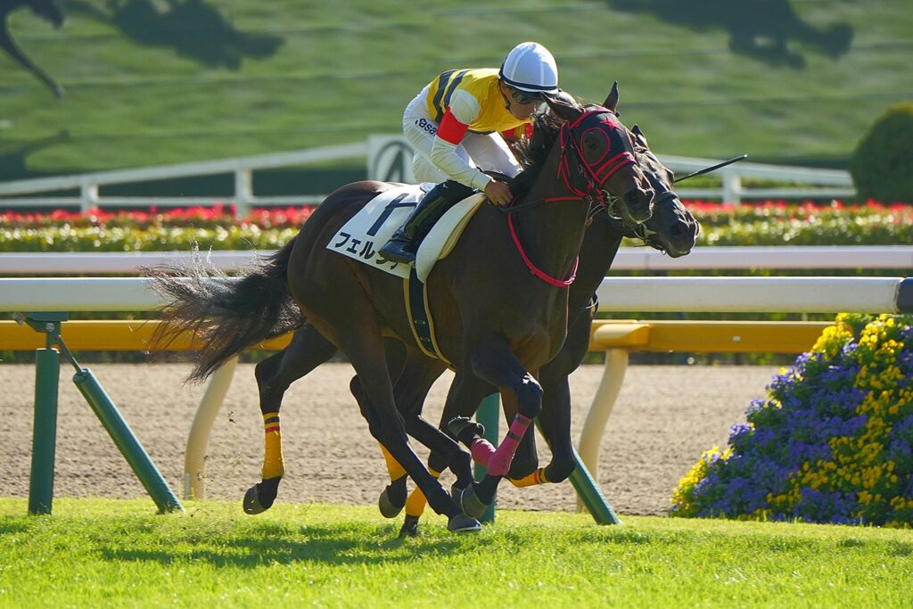 一口馬主］トップを目指せ！ 2歳世代、今週の勝ち上がり馬たち 2024/11/2,3（ウマフリ）｜ｄメニューニュース（NTTドコモ）