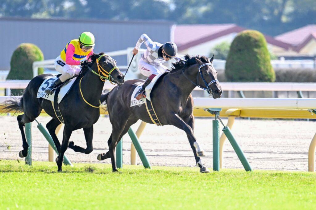 一口馬主］トップを目指せ！ 2歳世代、今週の勝ち上がり馬たち 2024/11/9,10(ウマフリ) - goo ニュース