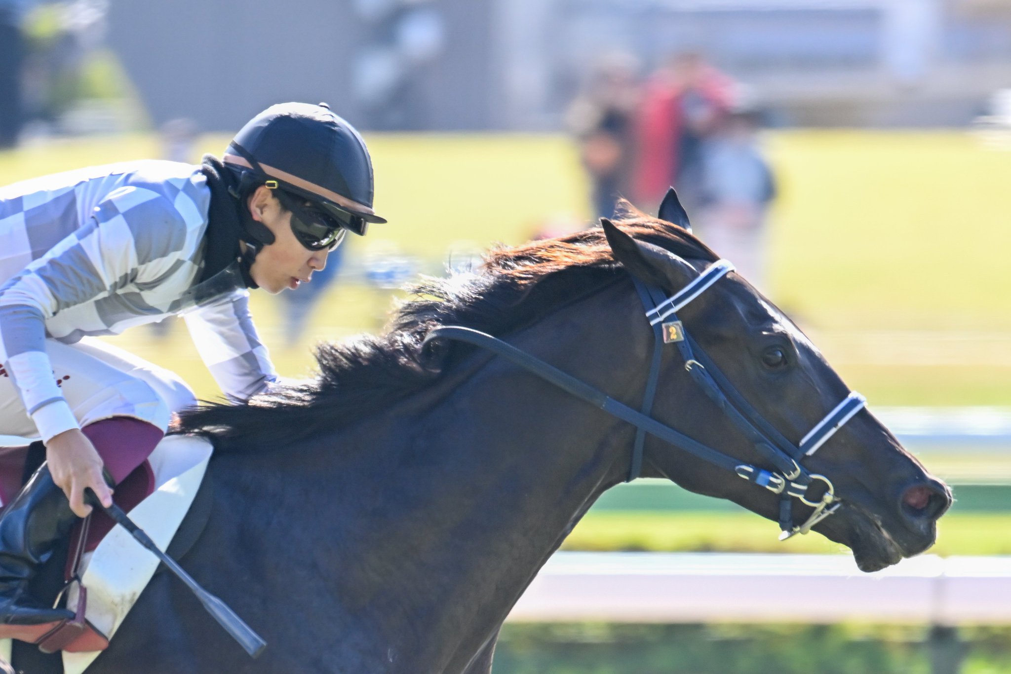 ［一口馬主］トップを目指せ！　2歳世代、今週の勝ち上がり馬たち 2024/11/9,10