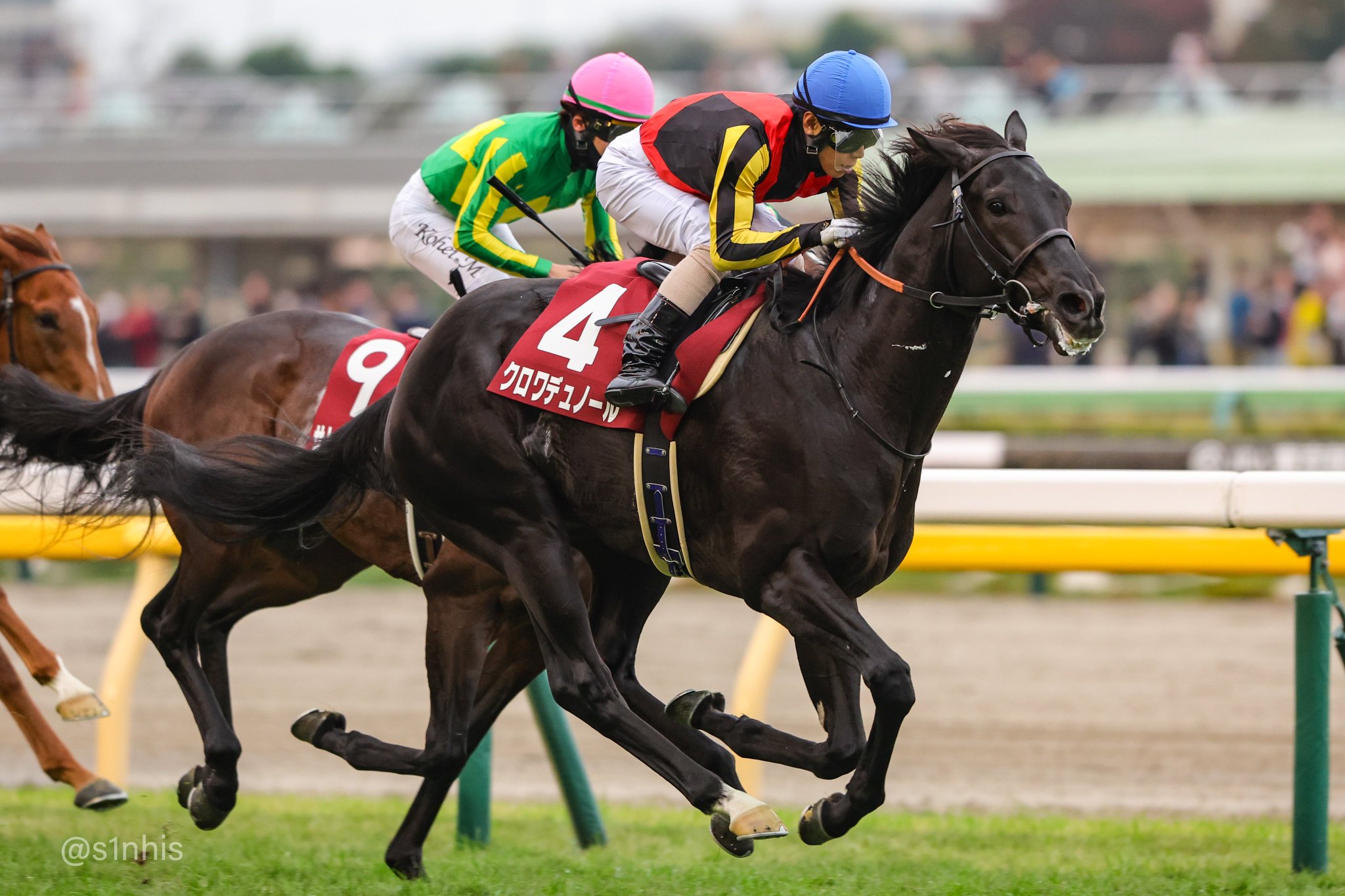 ［一口馬主］トップを目指せ！　2歳世代、今週の勝ち上がり馬たち 2024/11/16,17