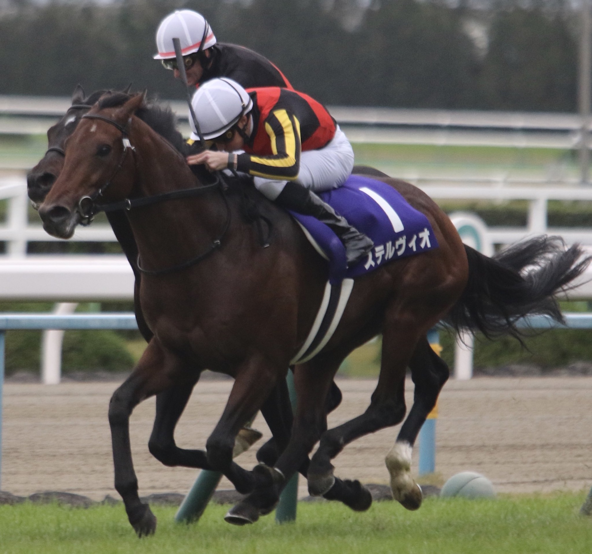 世界の名手たちの競演が生み出す舞台と未来。ステルヴィオが勝利した2018年マイルCSを振り返る