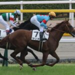 「IF…?」を次世代に託した謎多き馬/サリオス推したちの「サリオス考」