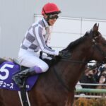 去りゆくあなたへ、「贈る言葉」~ドウデュース推したちからのメッセージ~