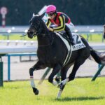 ［一口馬主］トップを目指せ！　2歳世代、今週の勝ち上がり馬たち 2024/11/30,12/1