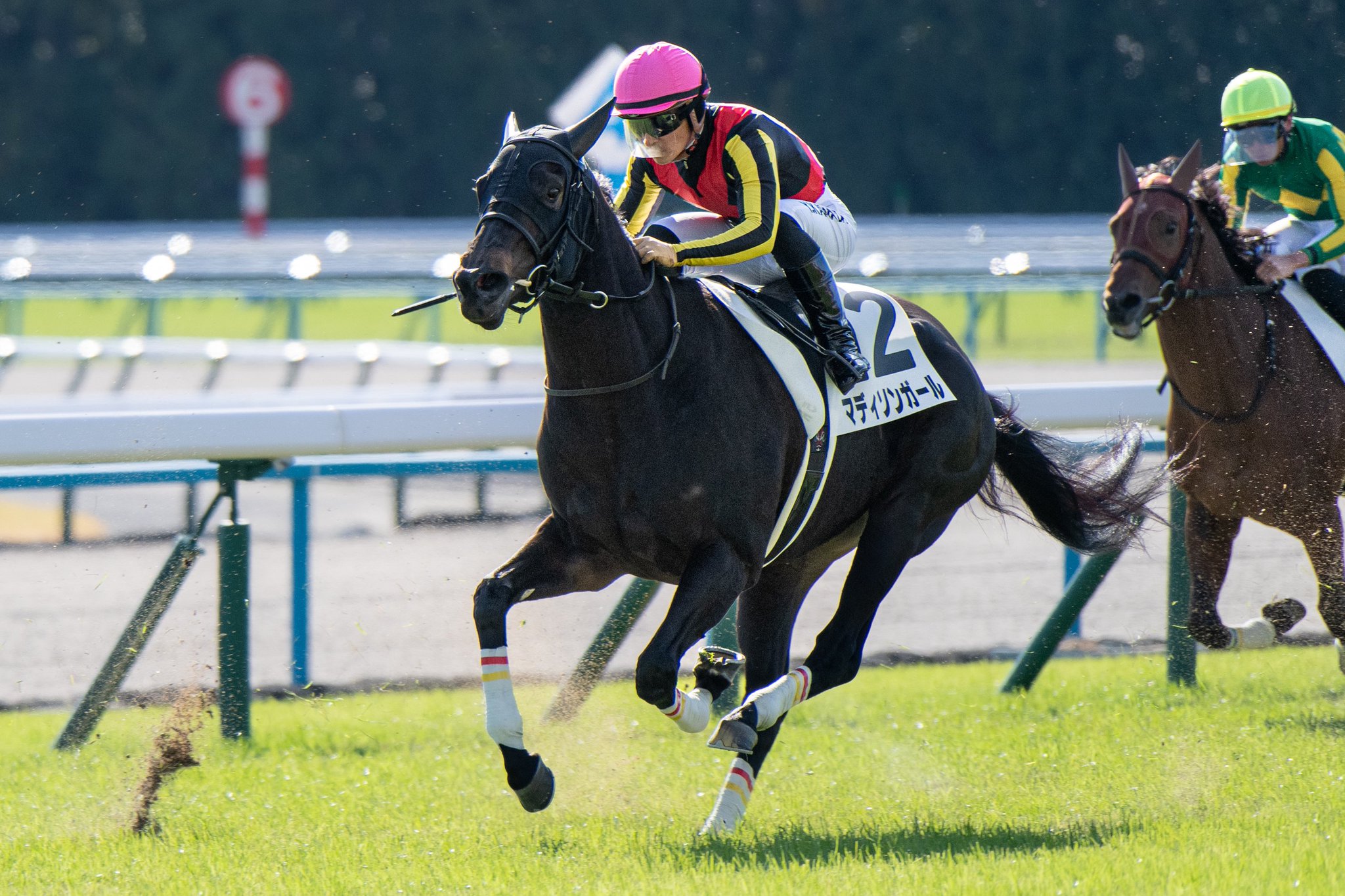 ［一口馬主］トップを目指せ！　2歳世代、今週の勝ち上がり馬たち 2024/11/30,12/1