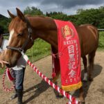 ［インタビュー］青森の乗馬クラブで種牡馬を！　カンパニー産駒ウインテンダネスが、クラウドファンディングに挑戦中