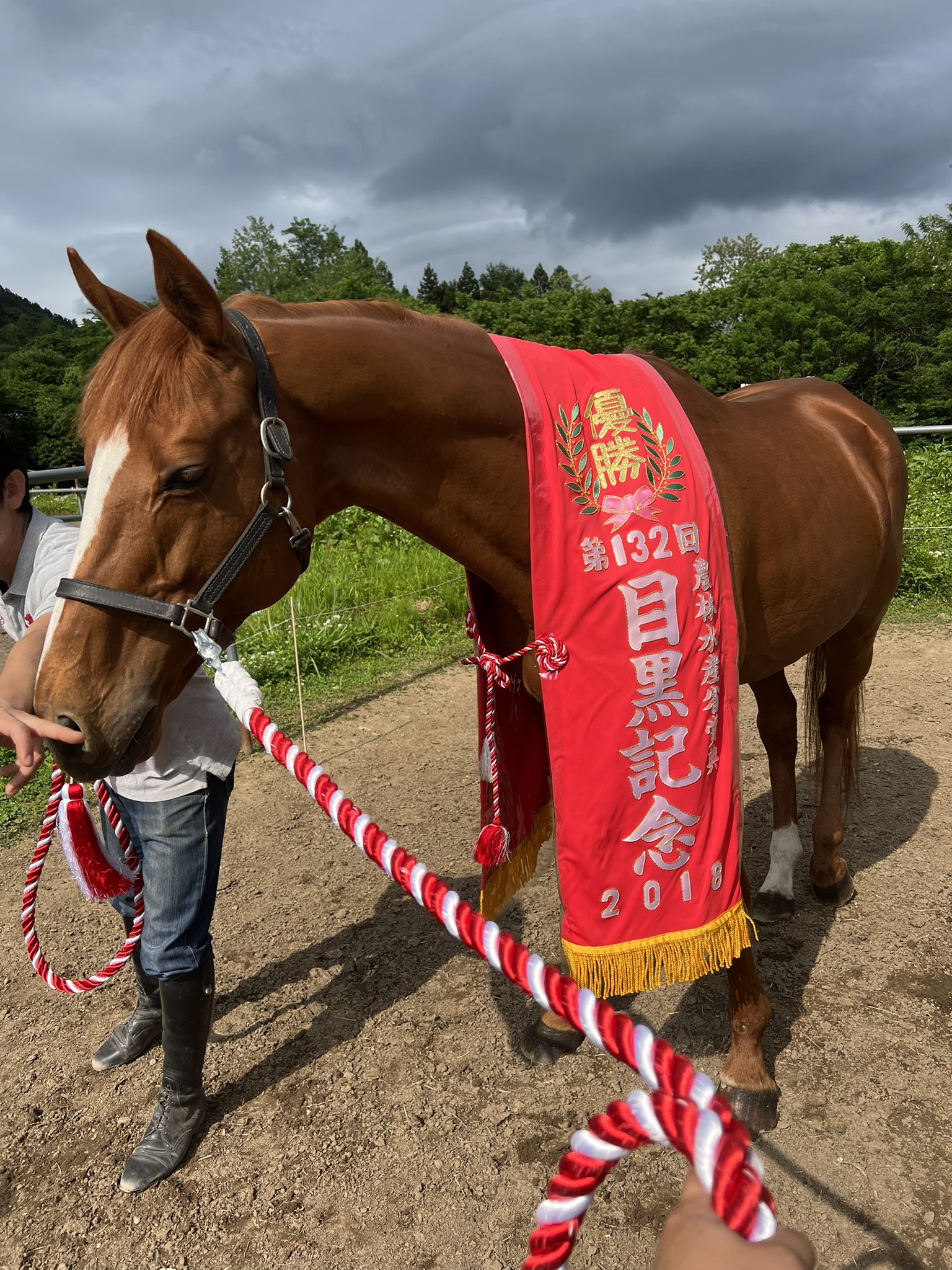 ［インタビュー］青森の乗馬クラブで種牡馬を！　カンパニー産駒ウインテンダネスが、クラウドファンディングに挑戦中