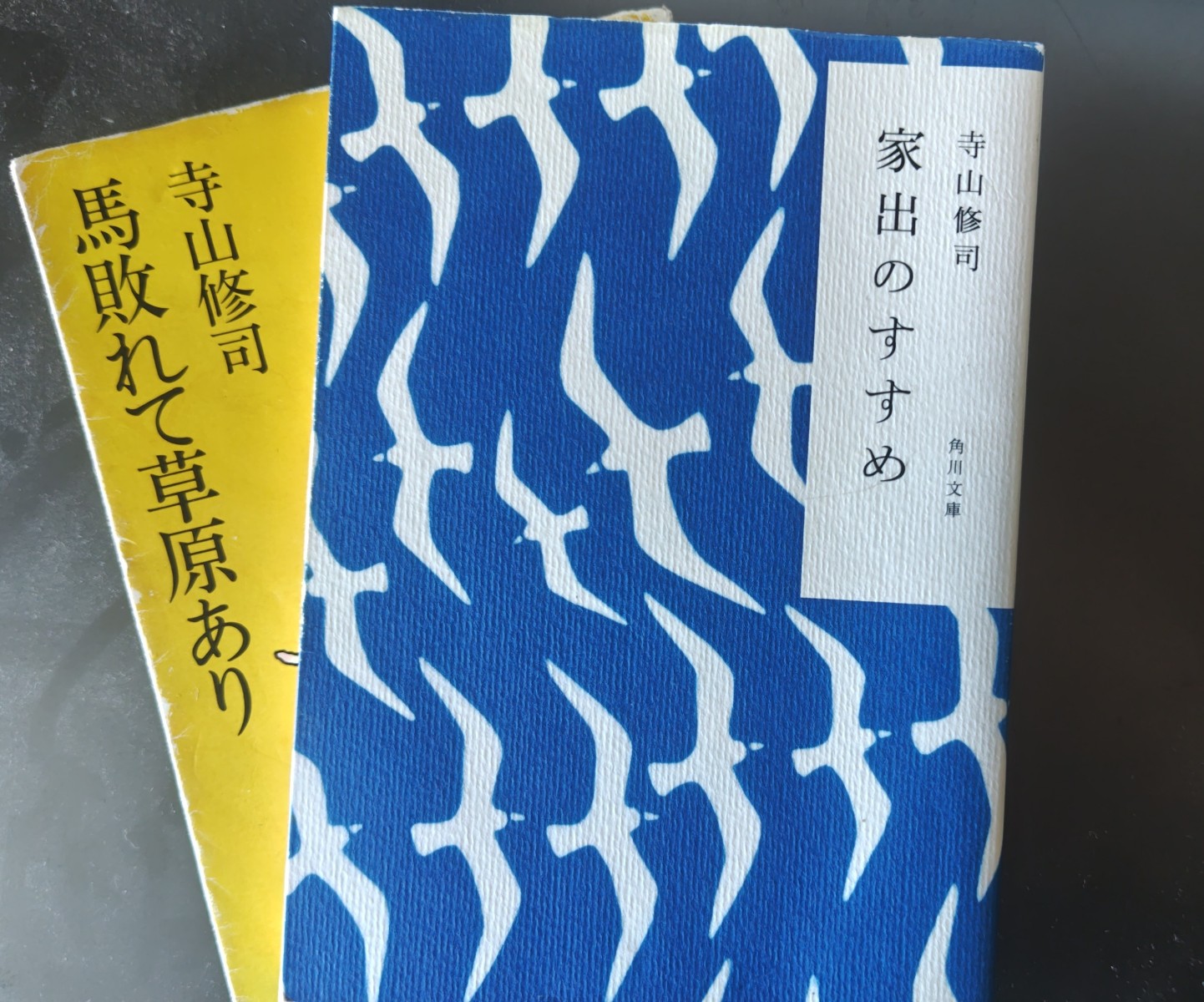 寺山修司が加賀武見に見た「現代批評」 - メイデイレディの来日に寄せて