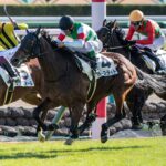 ［一口馬主］トップを目指せ！　2歳世代、今週の勝ち上がり馬たち 2024/12/7,8