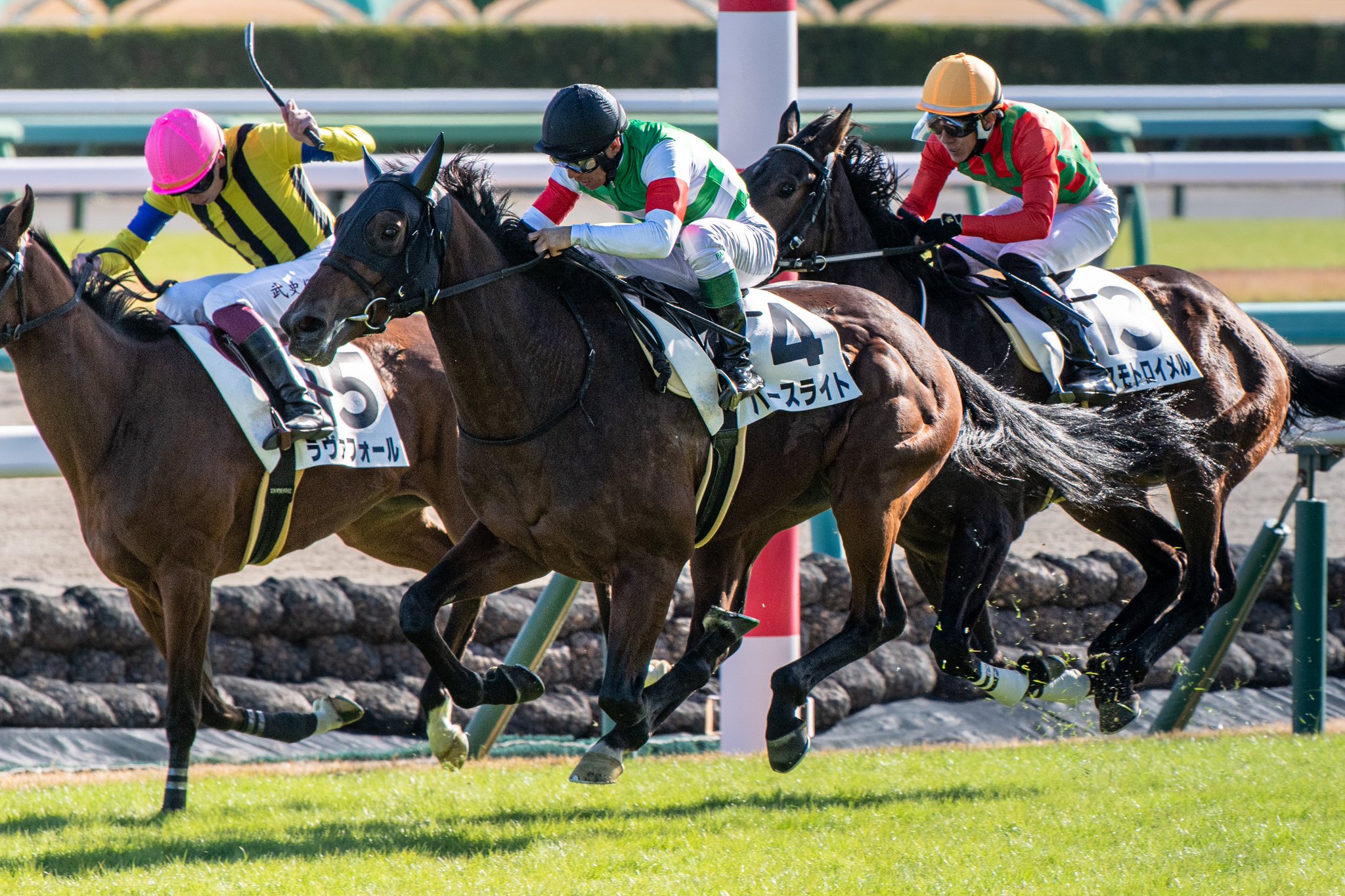 ［一口馬主］トップを目指せ！　2歳世代、今週の勝ち上がり馬たち 2024/12/7,8