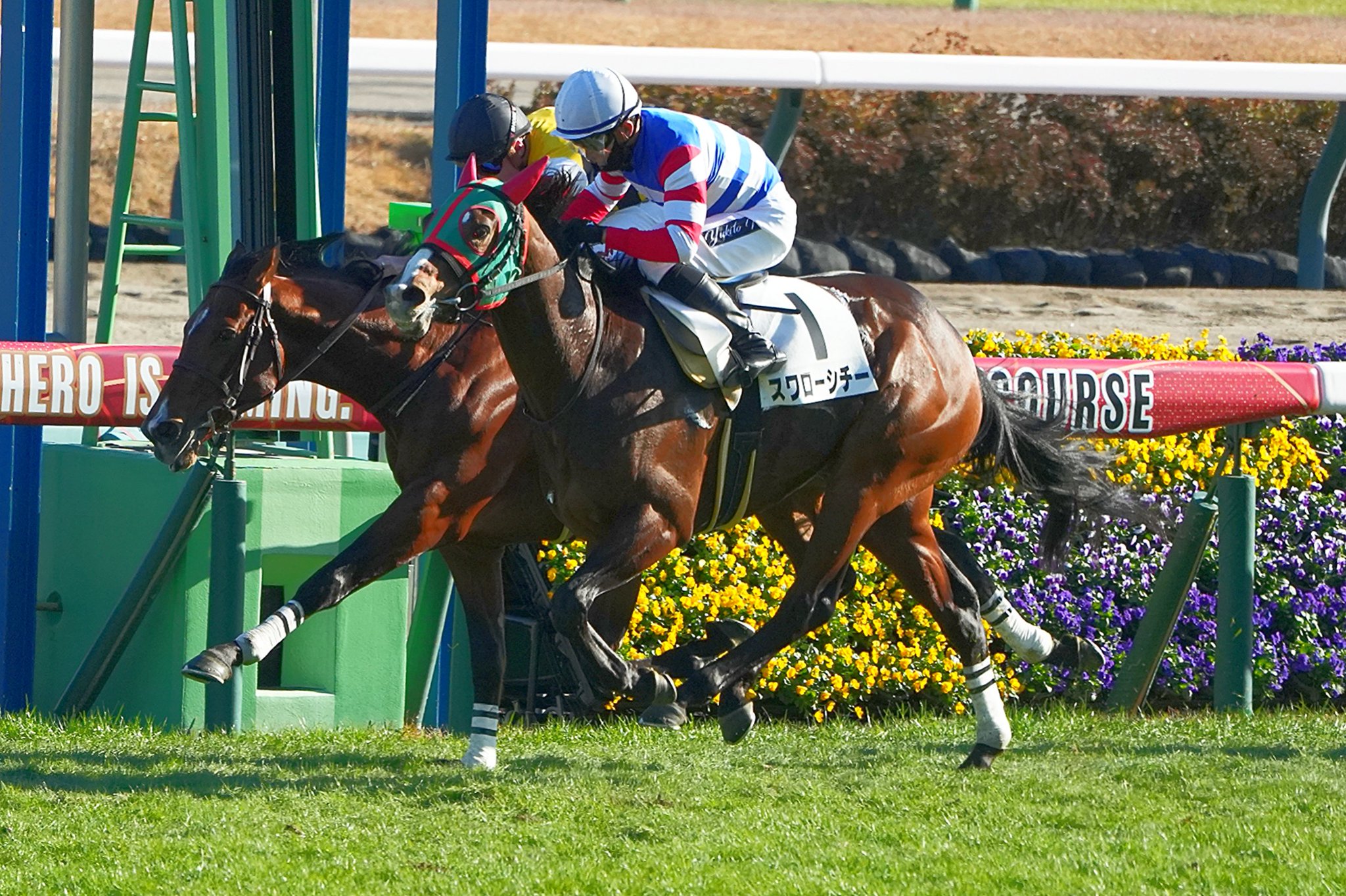 ［一口馬主］トップを目指せ！　2歳世代、今週の勝ち上がり馬たち 2024/12/14,15