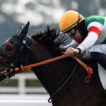 ［一口馬主］トップを目指せ！　2歳世代、今週の勝ち上がり馬たち 2024/12/21,22