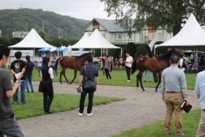 ［連載・馬主は語る］売却率（シーズン3-29）