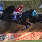 蛇行する男と真っ直ぐ駆ける王者。名馬オジュウチョウサンを振り返る