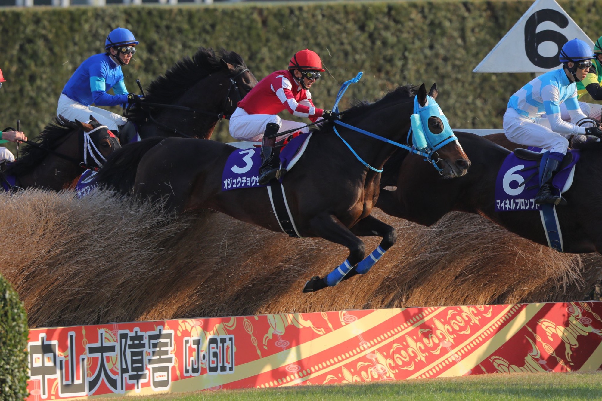 蛇行する男と真っ直ぐ駆ける王者。名馬オジュウチョウサンを振り返る