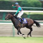 2001年に輝いたスプリンター・トロットスターの記憶／シルクロードステークス