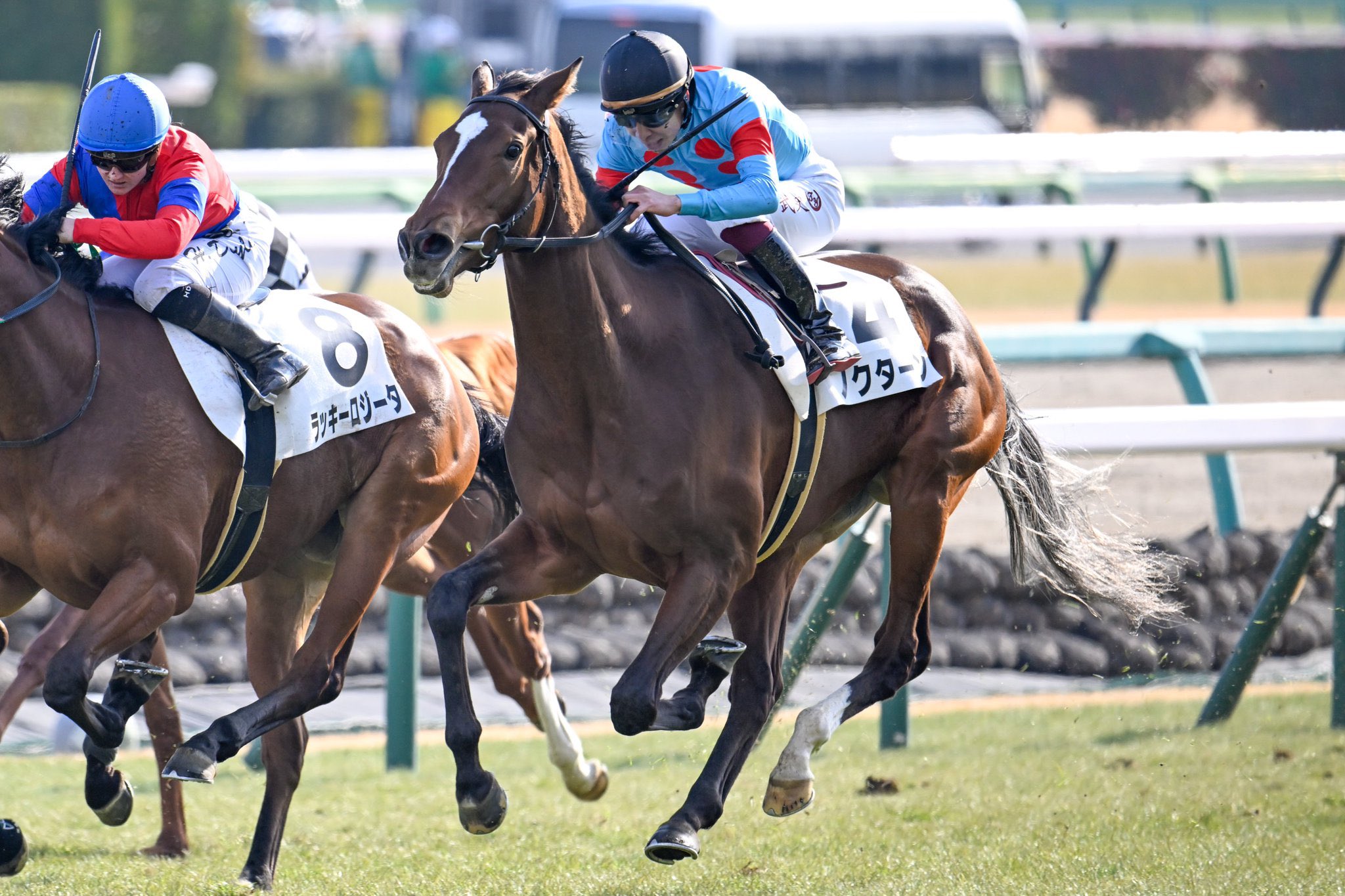 ［一口馬主］トップを目指せ！　2022年産世代、今週の勝ち上がり馬たち 2025/01/5-6