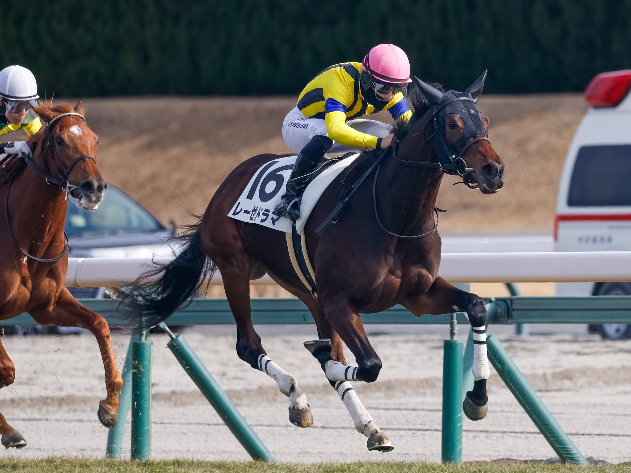 ［一口馬主］トップを目指せ！　2022年産世代、今週の勝ち上がり馬たち 2025/01/11-13