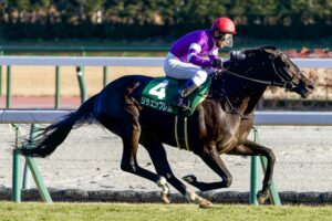 京成杯］中山2000mから春のG1戦線へ。飛躍を遂げた名馬たちを