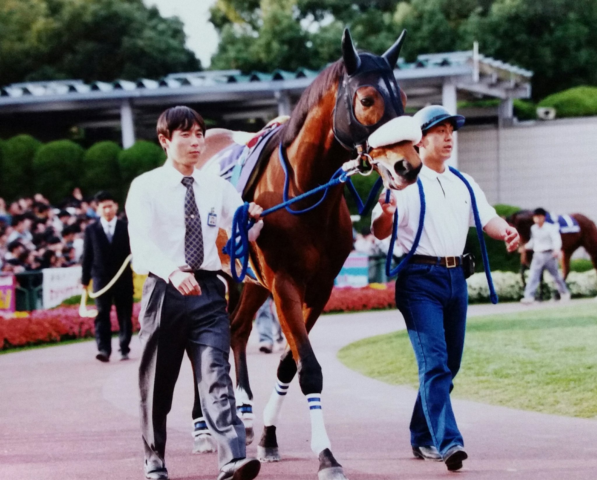 府中開催・豪華メンバーのAJCCを快勝。カネツクロスの「たら・れば」をつけたくなる競走生活を振り返る