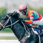 抒情詩としての三冠馬 - コントレイル | ウマフリ | 競馬コラム