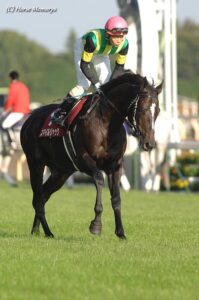 ターフに笑顔を咲かせて…。スマイルジャック、その歩みと記憶