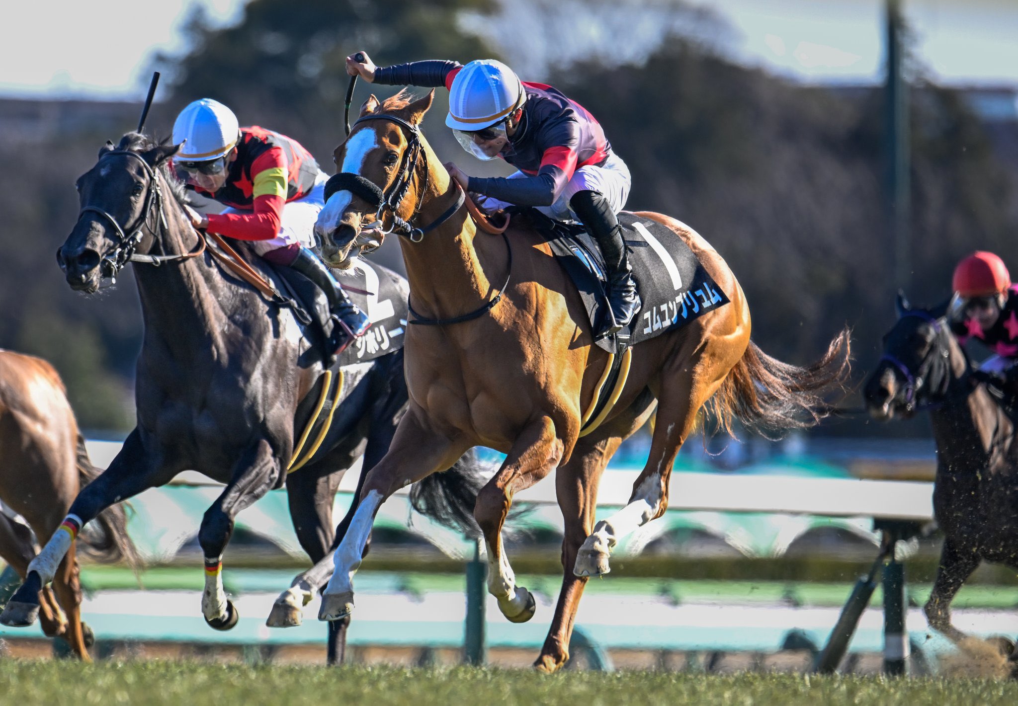 ［一口馬主］トップを目指せ！　2022年産世代、今週の勝ち上がり馬たち 2025/01/18-19