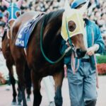 ［AJCC］ユーバーレーベン、ダンスパートナー、ホクトベガ、メジロモントレー…。伝統ある一戦で牡馬を相手に上位に食い込んだ名牝達 