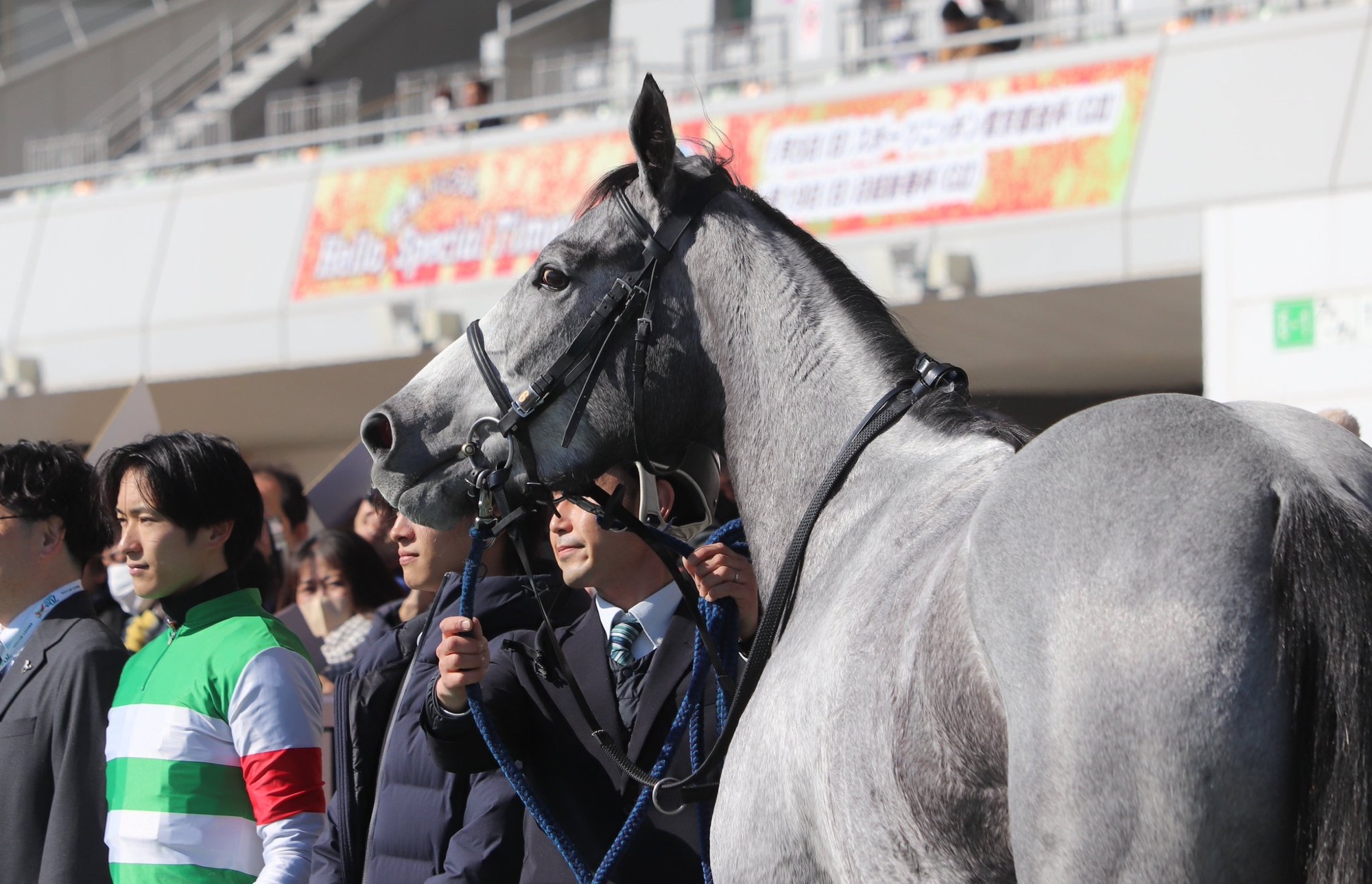 ［一口馬主］トップを目指せ！　2022年産世代、今週の勝ち上がり馬たち 2025/01/25-26