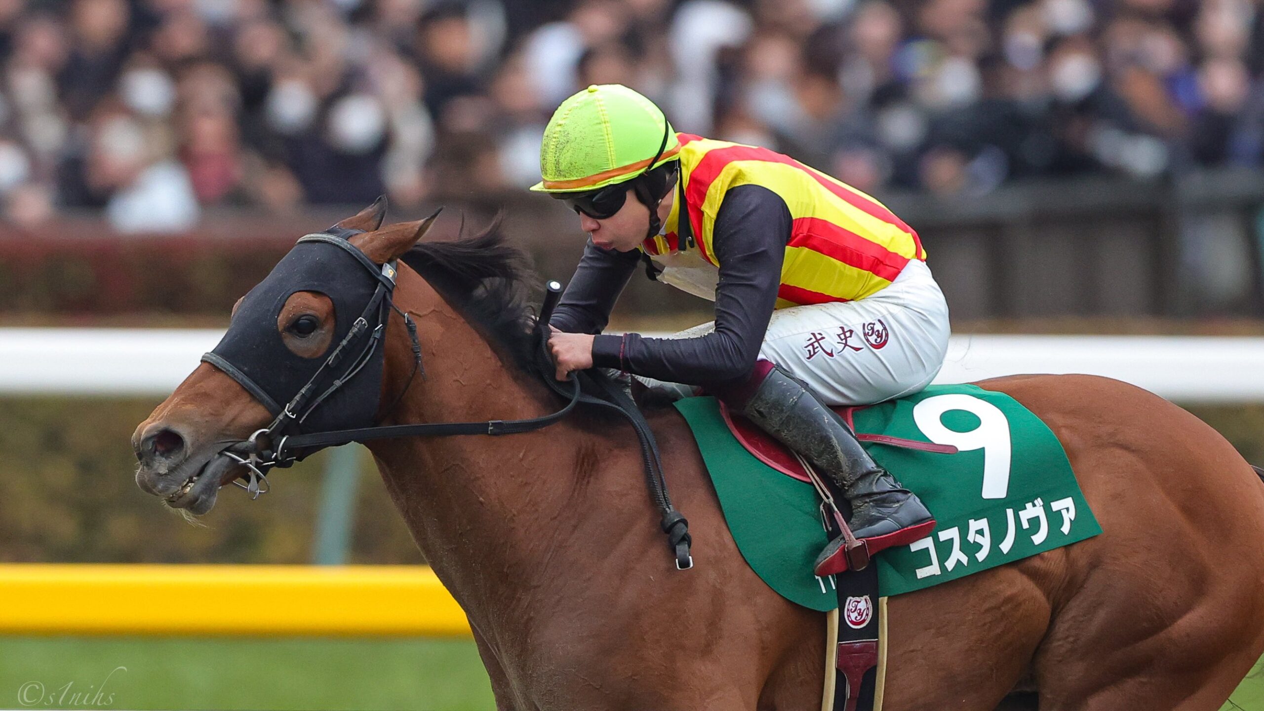 ［重賞回顧］ダート短距離界に新星誕生！　直線半ばで勝負を決めたコスタノヴァが圧勝で重賞初制覇～2025年・根岸S～