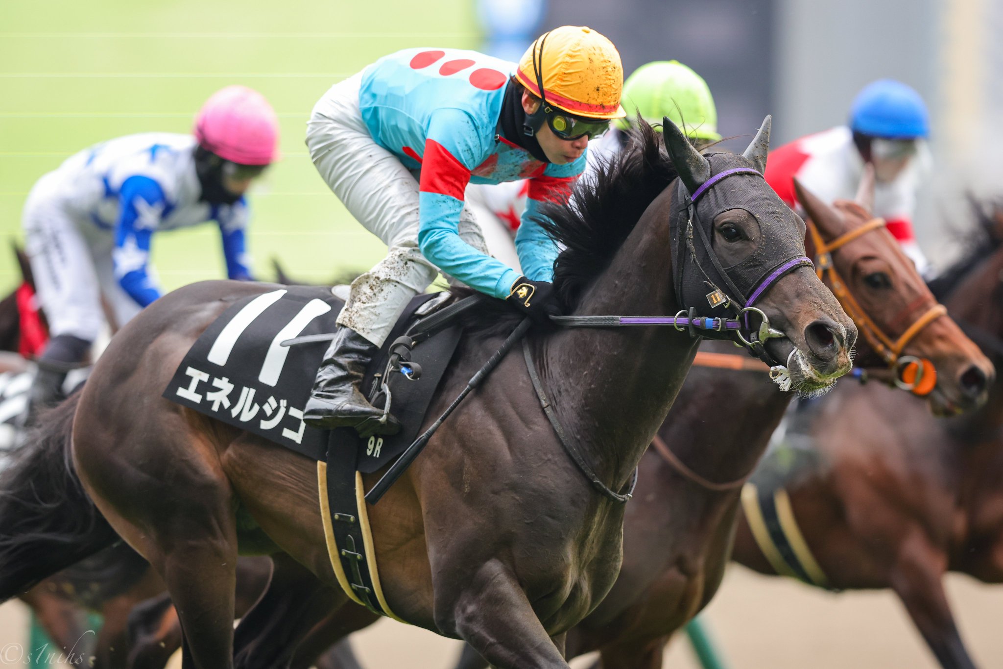 ［一口馬主］トップを目指せ！　2022年産世代、今週の勝ち上がり馬たち 2025/02/01-02