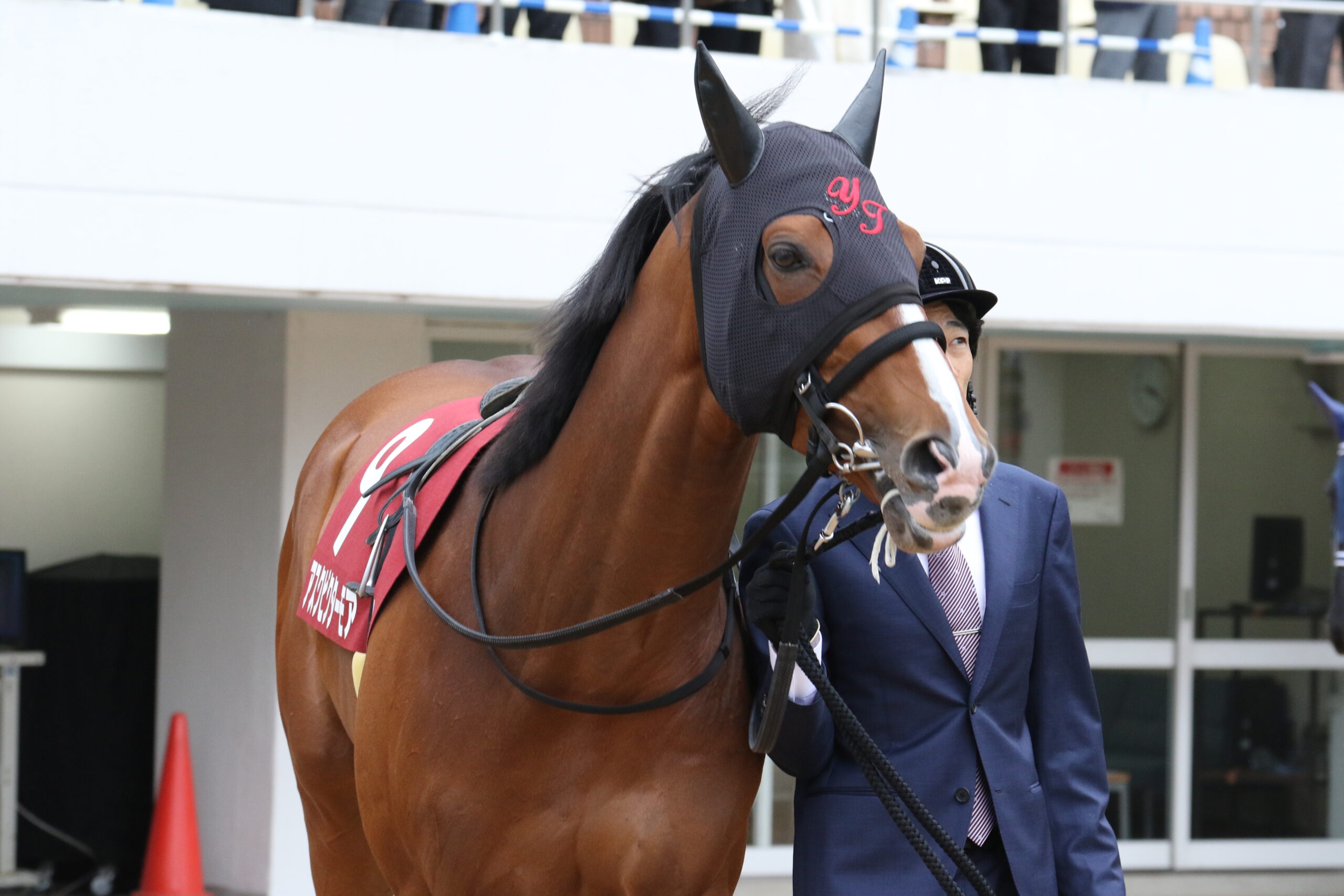 「もう一度、競馬場で会いたかった…」アスクビクターモアの追憶と、ドウデュースの鬼脚封じ／２０２２年弥生賞