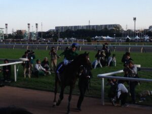 ジャスタウェイ - ドバイで末脚を爆発させた名馬。ジャスタウェイはジャスタウェイ以外の何ものでもない