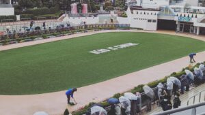 ［日経賞］明暗分かつ2頭の菊花賞馬。2023年、雨の日経賞を振り返る