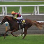 おめでとう典さん！！ロジユニヴァース日本ダービー快勝