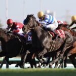 ヒシイグアス - 中山に愛された不屈の将軍