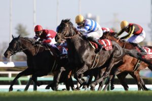 ヒシイグアス - 中山に愛された不屈の将軍