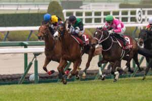IMG_9278-300x200.jpeg