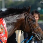 ［血統研究］主要な種牡馬とGⅠ活躍馬の血統比較から、現代日本競馬における『アツい血統』を探る