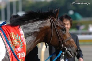 ［血統研究］主要な種牡馬とGⅠ活躍馬の血統比較から、現代日本競馬における『アツい血統』を探る