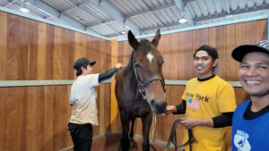 ［連載・片目のサラブレッド福ちゃんのPERFECT DAYS］オータムセール当日（シーズン1-44）