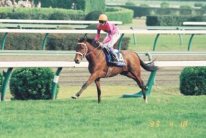 ナリタタイシン - 二強から三強のクラシックへ。極上の末脚を武器に戦い抜いた、小柄な「閃光」