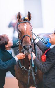 ［追悼］香港で天に昇った三冠牝馬リバティアイランド。心から送りたい「ありがとう」
