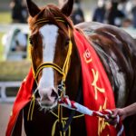 アドマイヤリード - 唸る豪脚、迸る根性 | ウマフリ | 競馬