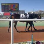 ［連載・クワイトファインプロジェクト］第50回　クワイエットエニフ初出走とプロジェクトの今後